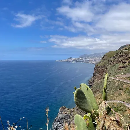 Panoramic Views I Caniço